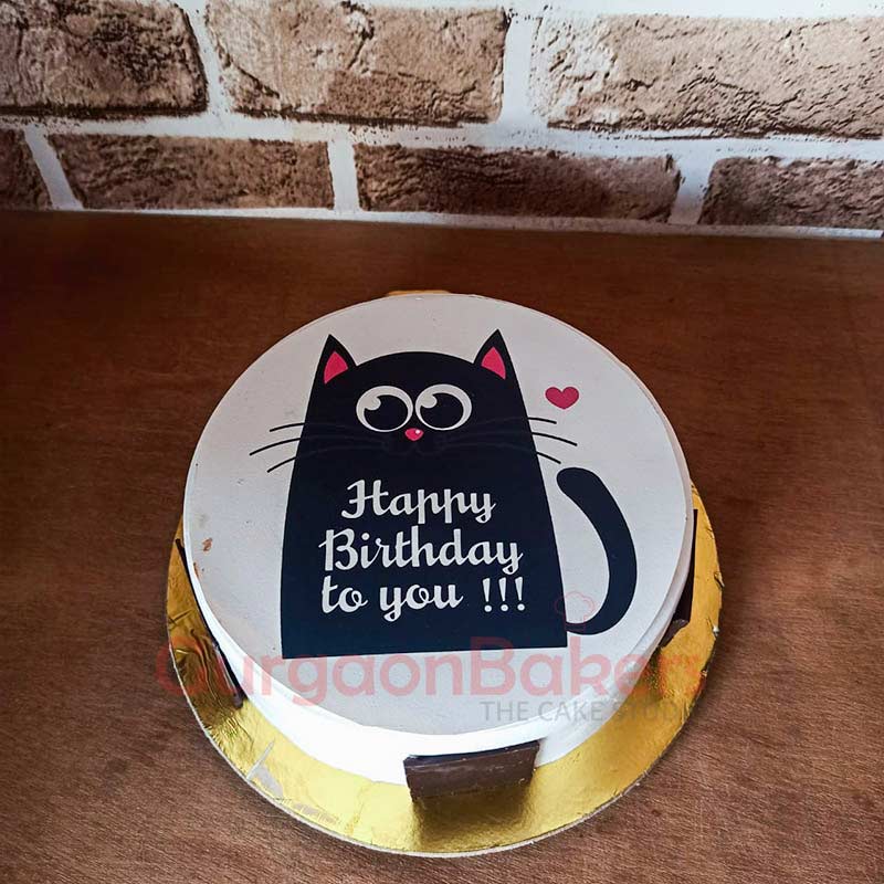 Purrfect Birthday Cake Top View